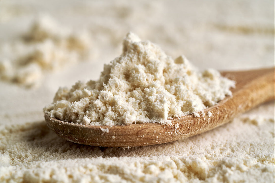 best protein powder for weight watchers