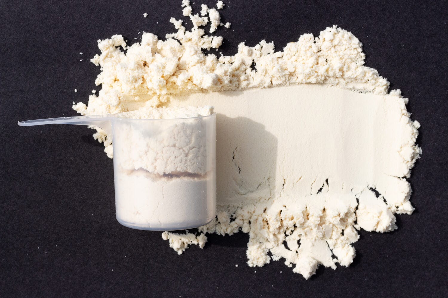 best protein powder for high cholesterol