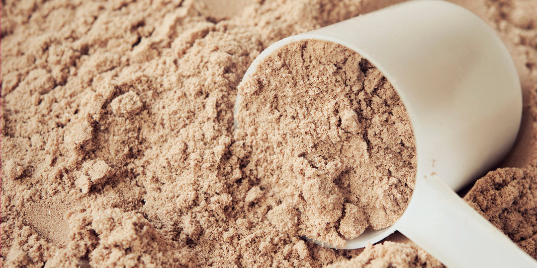 Meal Replacement Powder Vs. Protein Powder for GLP-1