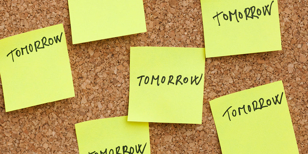 The Relationship Between Procrastination and Disappointment