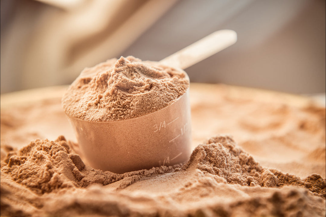 which protein is best for weight loss