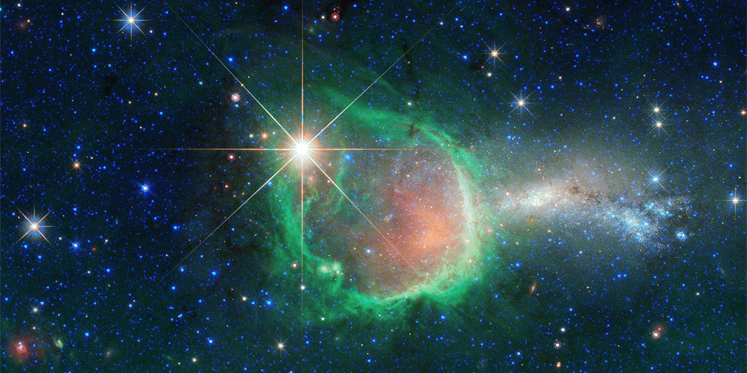 Is UNJURY® Protein “Magical?” A Good Story